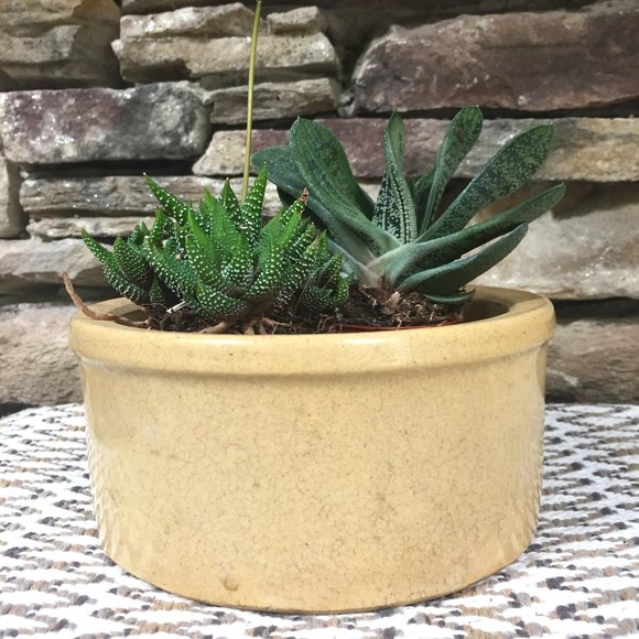 Vintage Roseville Crock Planter Cottagecore